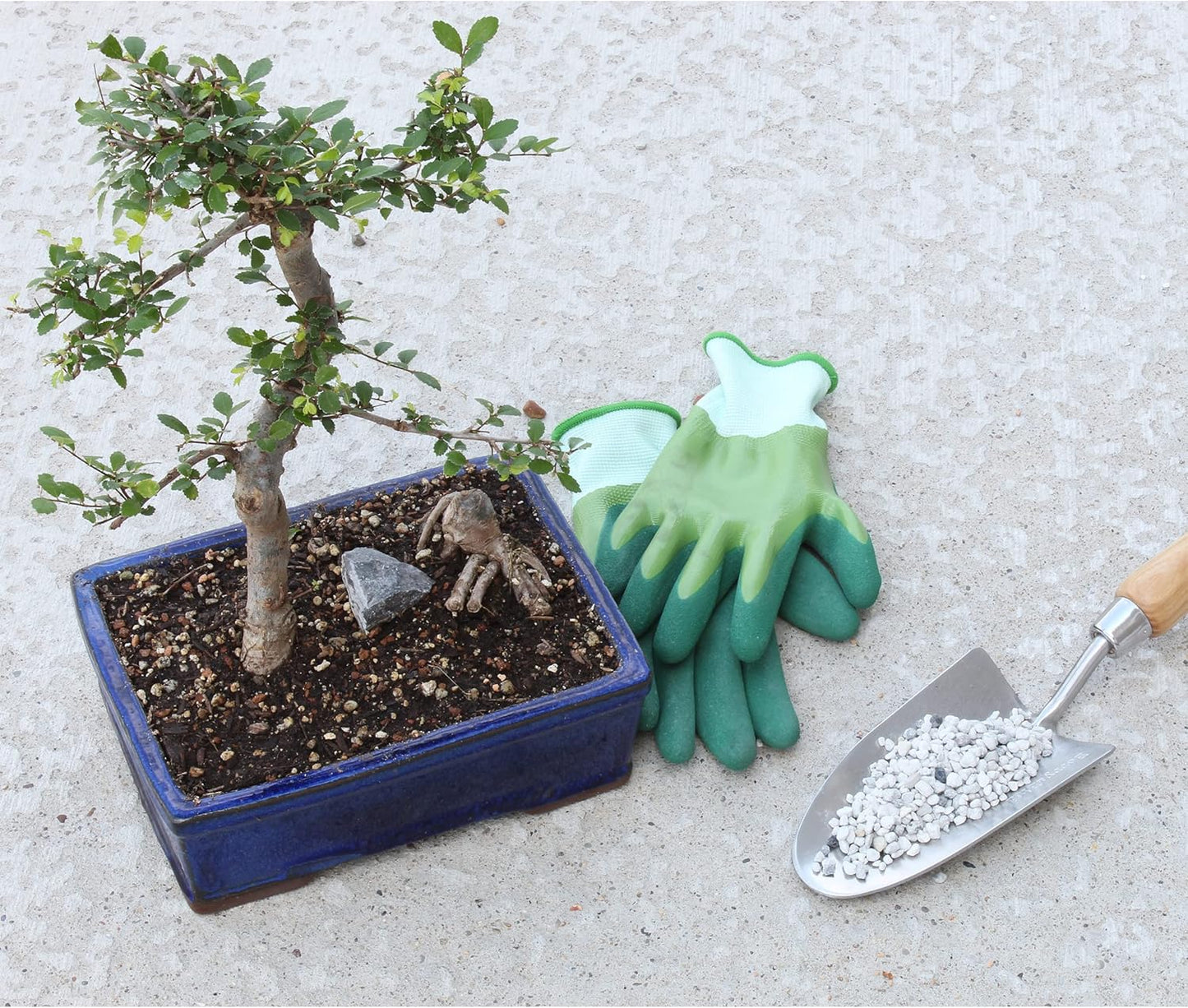 Horticultural Bonsai Pumice Soil Amendment (2 LB), Supplement for Bonsai and Cactus Indoor Plants