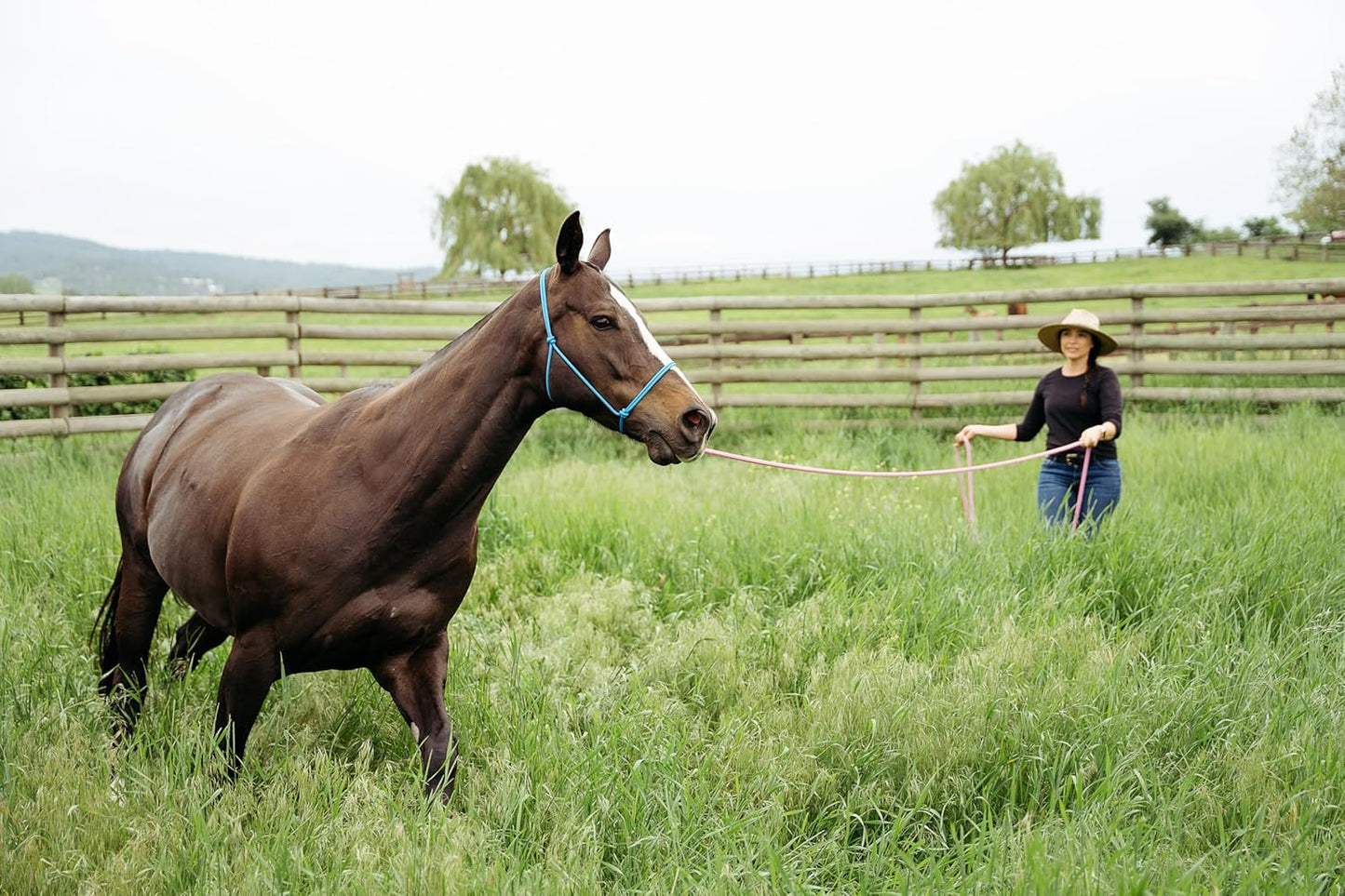 22' Long Line with SS O Ring and Carabiner (Brown Beige)