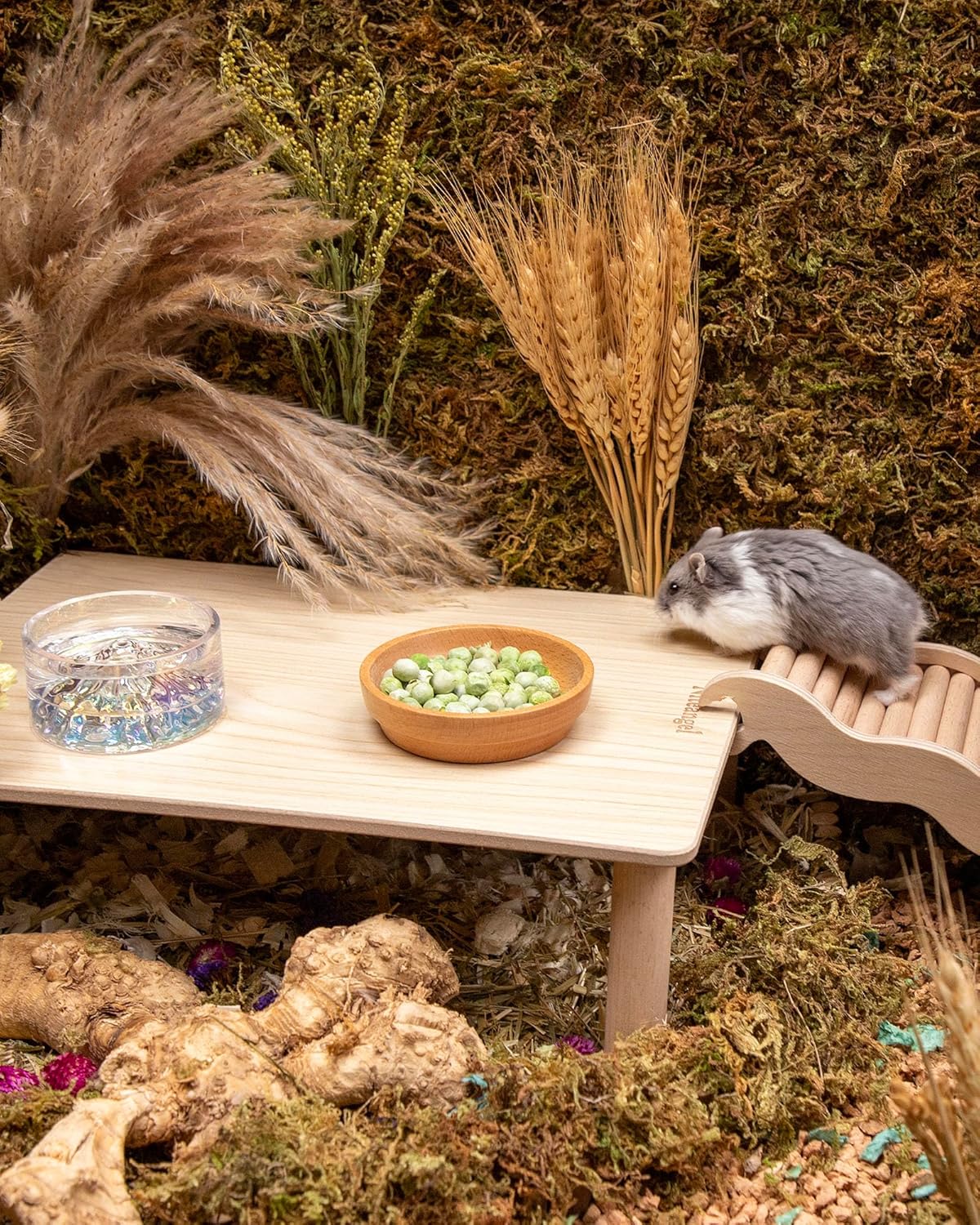 Niteangel Hamster Snack & Treats Toy - Small Animal Natural Treat for Dwarf Syrian Robo Hamsters Gerbils Mice Lemmings Degus or Other Small-Sized Pets