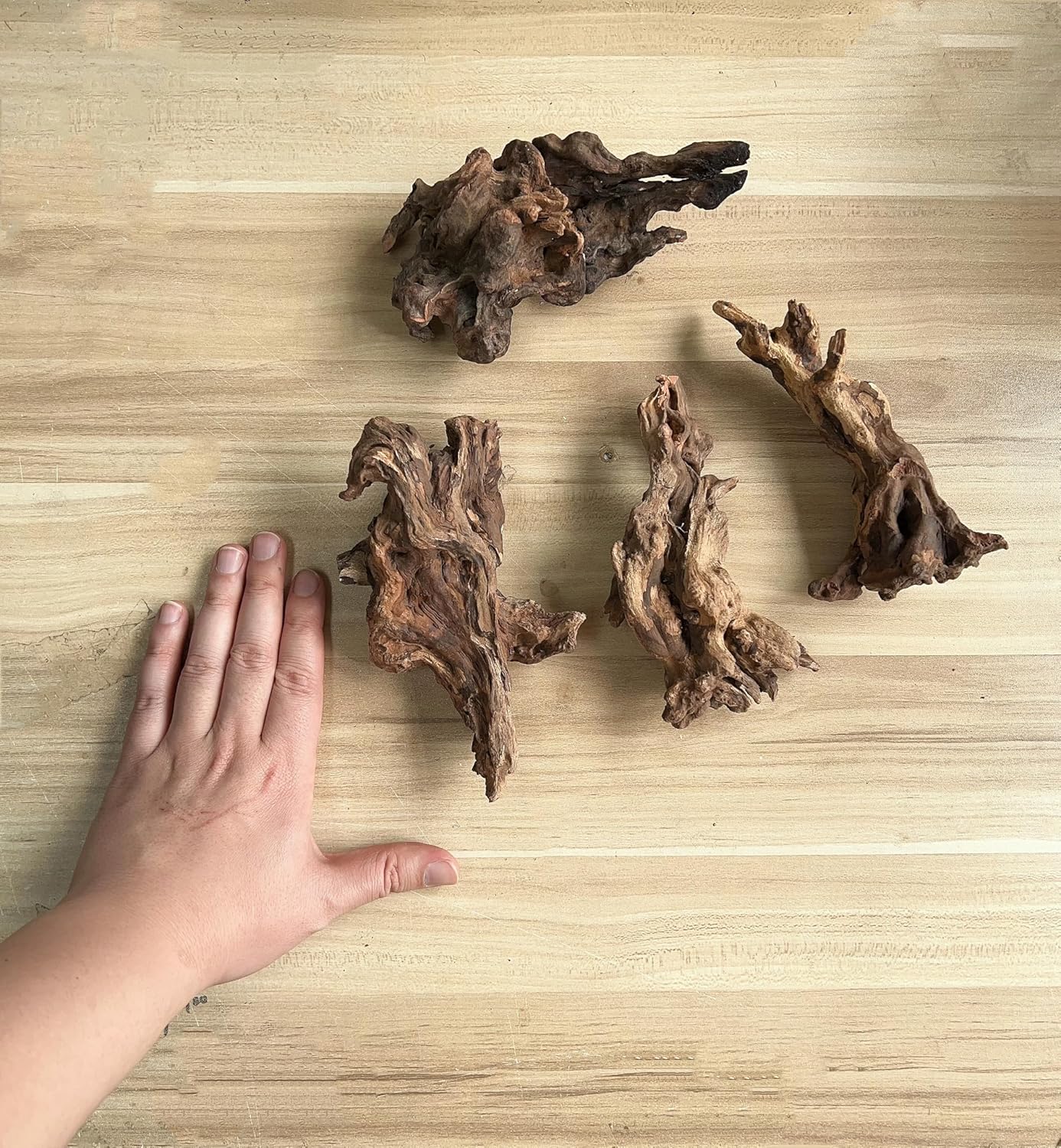 Small Natural Driftwood for Aquarium Styling Carefully Selected Natural Aquarium Decor Driftwood for Reptile Tank Reptile Tank Wood Decor (Driftwood 6-8inch 4pcs)