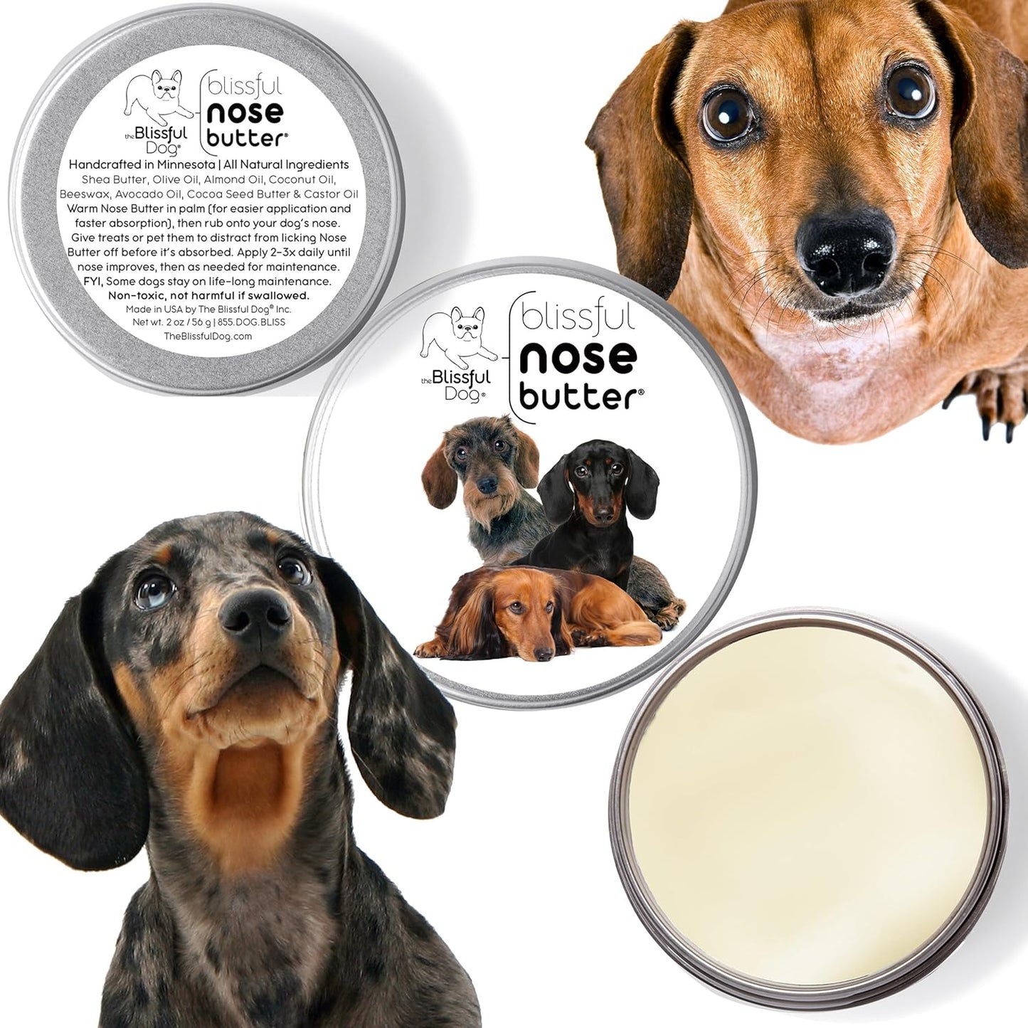 The Blissful Dog Dachshund Nose Butter for Dry, Cracked Skin, Lick-Safe Dog Nose Balm with Moisturizing Shea Butter, Almond, Olive, and Essential Oils, Pet Supplies, Uncented, 1 oz.