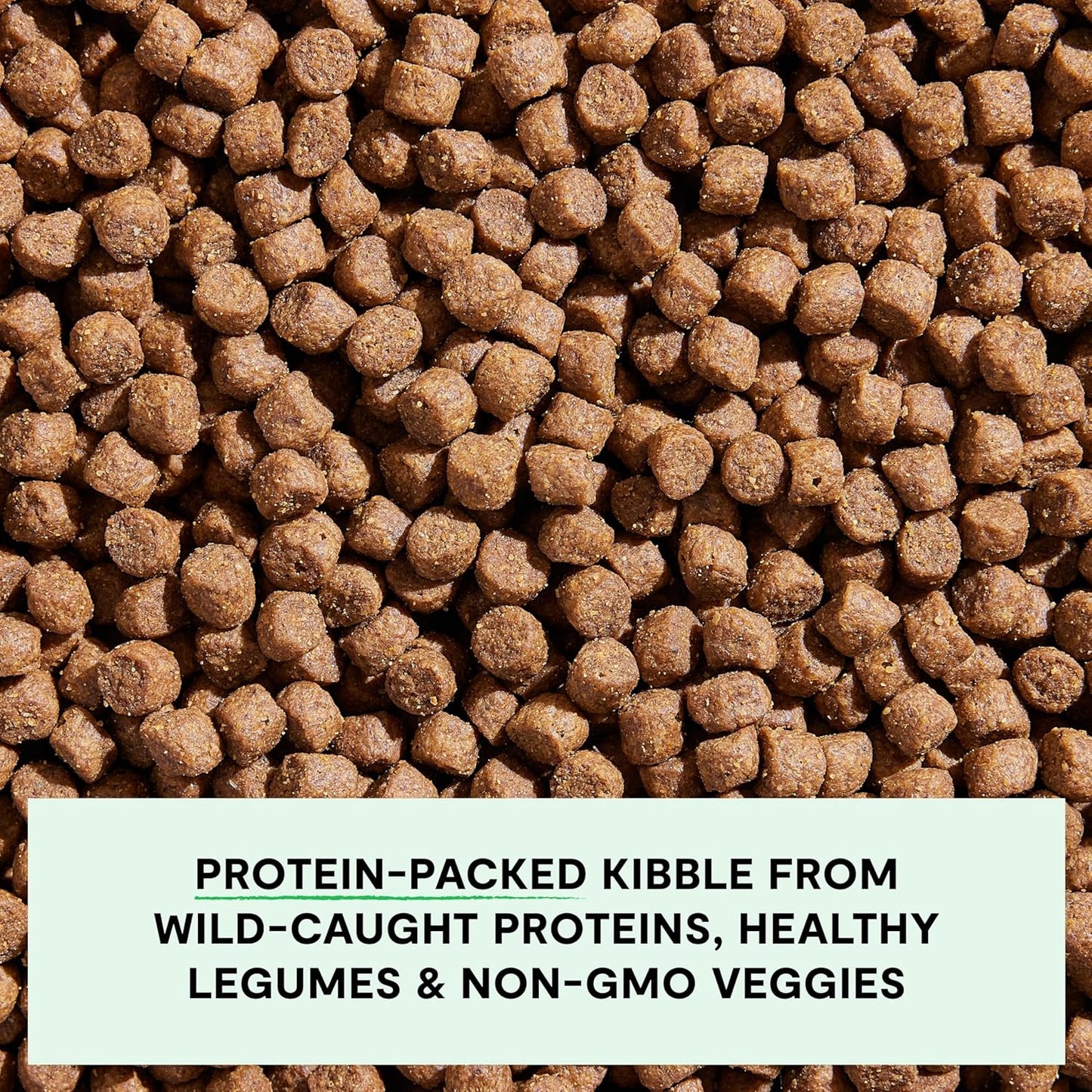 Open Farm, Grain-Free Dry Dog Food, Complete & Balanced Kibble, Sustainably & Ethically Sourced Ingredients, Non-GMO Veggies & Superfoods, Catch-of-The-Season Whitefish Recipe, 11lb Bag